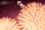 nEO_IMG_DSC01373