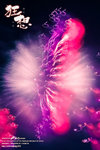 nEO_IMG_DSC01468-2