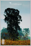 PICT0081