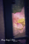 DSC00135-Edit