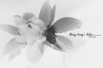 DSC00150-Edit