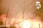 nEO_IMG_DSC09319