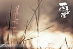 nEO_IMG_DSC09320