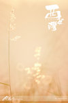 nEO_IMG_DSC09329