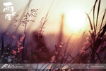 nEO_IMG_DSC09367