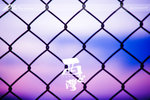 nEO_IMG_DSC09426