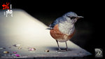 nEO_IMG_DSC00014
