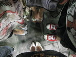 JOYCE PO, �z�z,ANNIE,ME!
