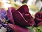 IMG_0070