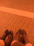 WIF GIN