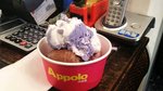 22/6 �f�u�G�}�@��D�ȿE�˴N�|�����|! �n�m���ʧQ��APPOLO