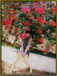 DSC02795