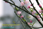 DSC_5780_copy