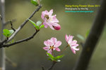 DSC_5792_copy
