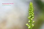 DSC_6315_copy