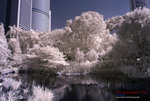 DSC_1332_copy
