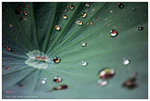 S029_nEO_IMG