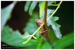 nEO_IMG_S006