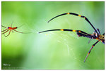 nEO_IMG_S009