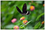 nEO_IMG_S017