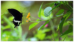 nEO_IMG_S019