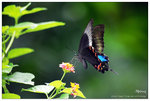 nEO_IMG_S028