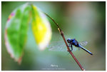 nEO_IMG_S032