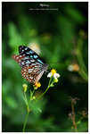 nEO_IMG_S035