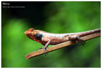 nEO_IMG_S037