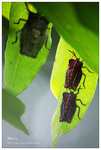 nEO_IMG_S044