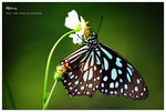 nEO_IMG_S048