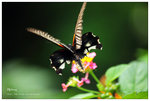 nEO_IMG_S053