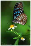 nEO_IMG_S065