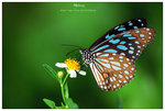 nEO_IMG_S066