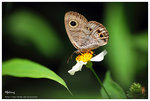nEO_IMG_S077
