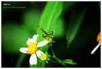 nEO_IMG_S079