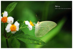 nEO_IMG_S082