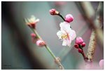 nEO_IMG_S005