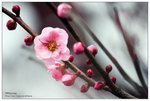 nEO_IMG_S010