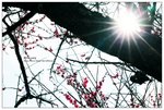 nEO_IMG_S012