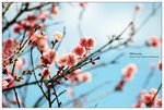nEO_IMG_S015