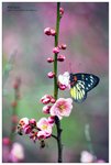 nEO_IMG_S020