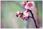 nEO_IMG_S022