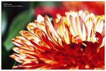 nEO_IMG_S043