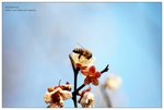 nEO_IMG_S006