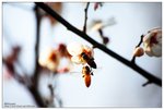 nEO_IMG_S035
