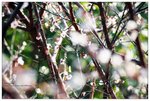 nEO_IMG_S048