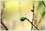 nEO_IMG_S054