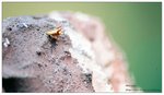 nEO_IMG_S057