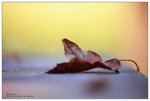 nEO_IMG_S058